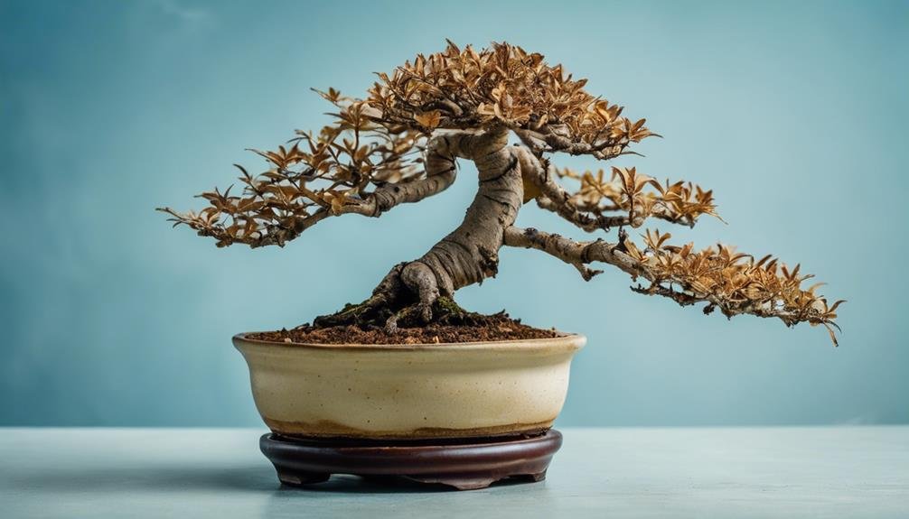 saving sick bonsai trees